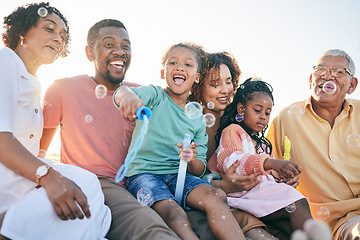 Image showing Relax, happy and bubbles with black family in outdoors for bonding, summer break and generations. Happiness, playful and grandparents with parents and children for free time, weekend or youth