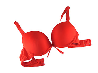 Image showing Red Bra