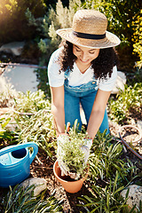 Image showing Spring, plants and smile, woman gardening in sun for eco friendly hobby and sustainable weekend time. Flowers, agriculture and growth, happy gardener planting bush in pot in backyard garden in Brazil