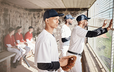 Image showing Baseball, sports and player with team in stadium watching games, practice match and competition on field. Fitness, teamwork and male athlete in dugout spectate exercise, training and sport workout