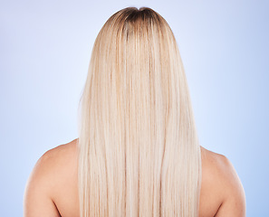 Image showing Hair care, beauty and back of woman in studio isolated on a blue background. Haircare, keratin cosmetics and female model with blonde hairstyle after salon treatment for growth, texture or balayage.