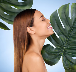 Image showing Woman, smile and leaf in natural beauty skincare cosmetics or self love and care against a blue studio background. Happy female in joy for perfect skin, leafy green organic plant or sustainable eco