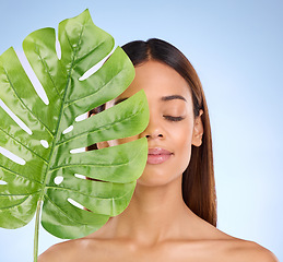 Image showing Woman, leaf and calm natural beauty for organic skincare cosmetics, self love or care on blue studio background. Relaxed female holding eco green plant for sustainable wellness or facial treatment