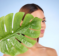 Image showing Woman, portrait and face in natural skincare cosmetics or self love and care on blue studio background. Female in cosmetic beauty and eco green plant for organic, sustainable facial or spa treatment