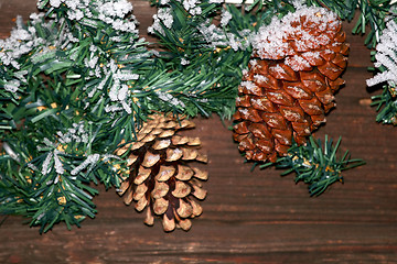 Image showing Pine cones