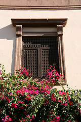 Image showing Window with flowers