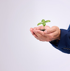 Image showing Plant in man hands for business growth isolated on white background with eco friendly investment mockup space. Sapling soil, palm and sustainable investing, sustainability or green startup in studio