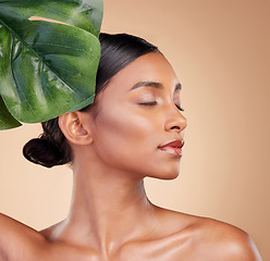 Image showing Woman, face and leaf for natural skincare cosmetics, self love and care against studio background. Calm and relaxed female beauty holding leafy green organic plant in sustainable eco facial treatment