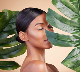 Image showing Woman, face and leaf for natural skincare cosmetics, self love and care against studio background. Female cosmetic beauty holding leafy green plant for organic facial or sustainable eco spa treatment