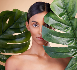 Image showing Woman, portrait and leaf for natural skincare cosmetics, self love and care against studio background. Female cosmetic beauty holding leafy green organic plant for sustainable eco facial treatment