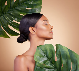 Image showing Woman, face and leaf for natural skincare cosmetics, self love and care against studio background. Female cosmetic beauty holding leafy green plant for organic facial or sustainable eco spa treatment