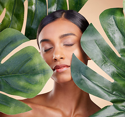 Image showing Woman, face and leaf in natural skincare cosmetics, self love and care against studio background. Calm female beauty holding leafy green organic plant for sustainable eco facial spa treatment