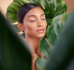 Image showing Woman, face and leaf in natural skincare cosmetics, self love or aloe vera against studio background. Calm female beauty holding leafy green organic plant for sustainable eco facial or spa treatment