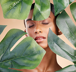 Image showing Woman, face and leaf in natural skincare cosmetics, self love or cosmetology against studio background. Calm female beauty holding leafy green organic plant for sustainable eco facial treatment