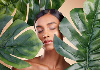 Image showing Woman, face and leaf for natural skincare cosmetics, self love and care against studio background. Calm and relaxed female beauty holding leafy green organic plant in sustainable eco facial treatment