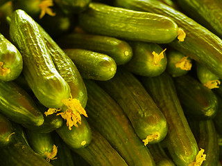 Image showing cucumbers