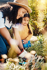 Image showing Family, children or gardening with a woman and daughter planting plants in the backyard together. Nature, kids or landscaping with a mother and female child working in the garden during spring