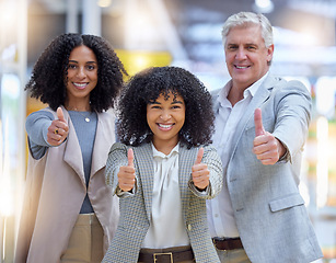 Image showing Thumbs up, hands and portrait of business people smile for yes review, thank you and trust. Diversity, employees and thumb gesture for support, like emoji and team motivation of agreement, ok or vote