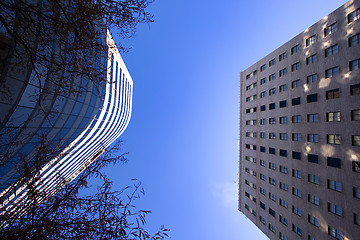 Image showing Looking Up to the Sky in Downtown