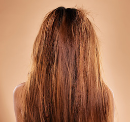 Image showing Messy, damaged hair and back of a woman in a studio with a brittle frizzy hairstyle before a treatment. Dirty, dry and female model with long, tangled and knot texture isolated by a brown background.