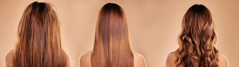 Image showing Hair care, beauty and back of a woman in studio with healthy, clean and curly hairstyle transformation. Wellness, salon and female model with botox, brazilian or keratin treatment by brown background