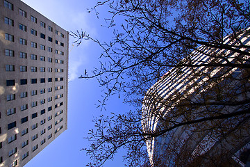 Image showing Looking Up to the Sky in Downtown