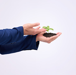 Image showing Hands, plant and growth with a businessman in studio on a white background to nurture new life for sustainability. Earth day, spring and climate change with a male employee holding soil for ecology