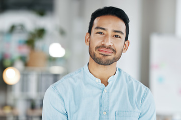 Image showing Professional, business and portrait of man in office for executive, confident and pride. Development, corporate and growth with male employee standing in agency for management, expert and director