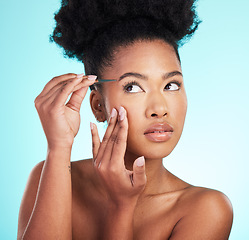 Image showing Beauty, hair removal and eyebrows with black woman and tweezer in studio for cosmetics, grooming and self care. Spa, growth and aesthetic with model on blue background for natural, fresh and shaping