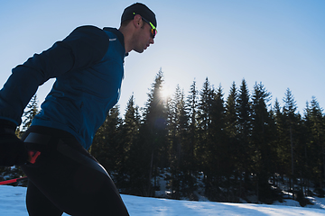 Image showing Nordic skiing or Cross-country skiing classic technique practiced by man in a beautiful panoramic trail at morning.