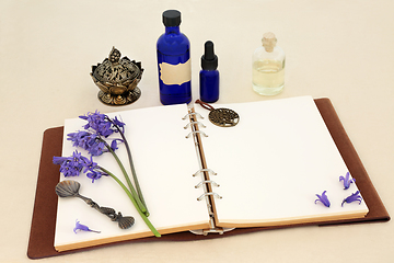 Image showing Preparation of Bluebell Flower Natural Healing Essence