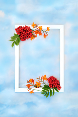 Image showing Autumn Harvest Festival Fruit and Flower Background Frame