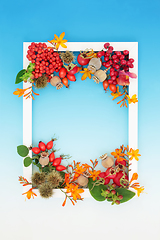 Image showing Autumn Thanksgiving Abundant Nature Background Frame