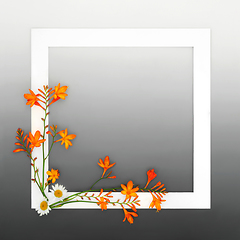 Image showing Crocosmia Lily and Daisy Flower Minimal Background Border