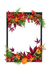 Image showing Floral Thanksgiving and Autumn Fall Nature Background Border