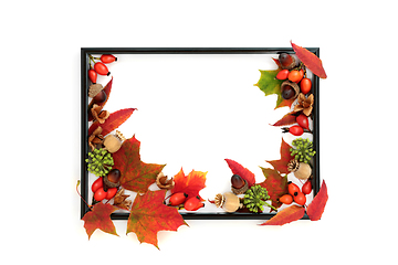 Image showing Autumn Fall Thanksgiving Harvest Festival Background Border  