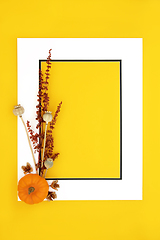 Image showing Autumn Fall Halloween Minimal Background Border