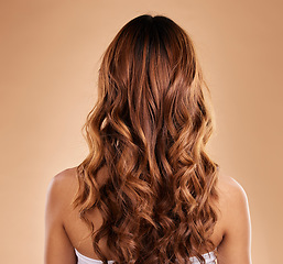 Image showing Haircare, back and beauty of woman with curly hair in studio isolated on a brown background. Texture, growth and female model with salon treatment for hairstyle, balayage or extensions and highlights