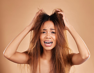Image showing Shocked, face portrait and woman with hair loss in studio isolated on a brown background. Haircare salon, damage and sad, depressed or frustrated female model with split ends and messy hairstyle.