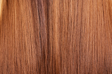 Image showing Haircare, texture and beauty closeup with straight hair, healthy keratin or hairstyle. Wellness, balayage and macro of salon treatment for brunette extensions, growth or dye, shine color and wig.