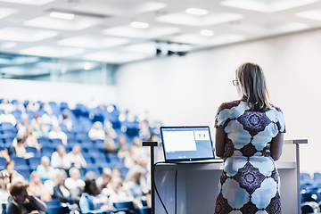 Image showing Public speaker giving talk at Business Event.