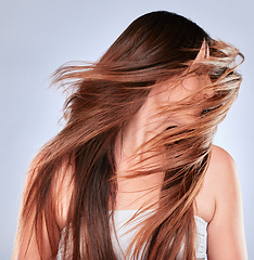 Image showing Hair flip, model and happiness of woman with natural beauty, wellness and soft hairstyle texture. Cosmetics, shampoo treatment and keratin of a female with healthy and haircare shine in studio