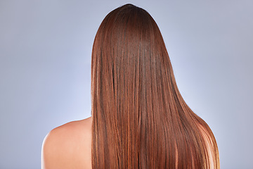 Image showing Hair, model and back of a woman with beauty, wellness and soft hairstyle texture in a studio. Cosmetics, shampoo treatment and keratin of a female with healthy, clean and haircare shine from salon