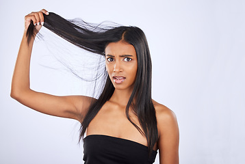 Image showing Hair damage, breakage and portrait of a frustrated woman isolated on a white background in studio. Bad, unhappy and an Indian girl sad about split ends, tangled hairstyle and frizzy haircare