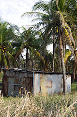 Image showing typical house corn island nicaragua