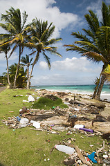 Image showing sallie peachie beach litter malecon north end corn island nicara