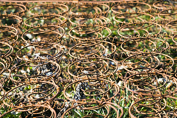 Image showing an old rusty bed