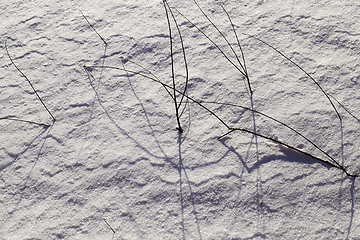 Image showing snow covered agricultural field