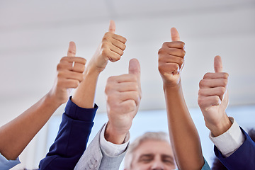 Image showing Business people, hands and thumbs up in agreement for success, good job or collaboration at office. Hand of group showing thumb emoji, yes sign or like for teamwork, win or solidarity at workplace