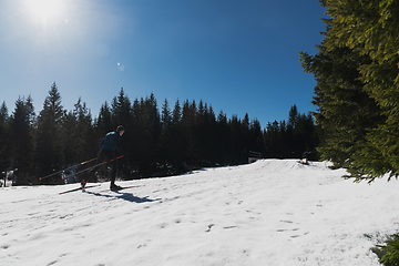 Image showing Nordic skiing or Cross-country skiing classic technique practiced by man in a beautiful panoramic trail at morning.